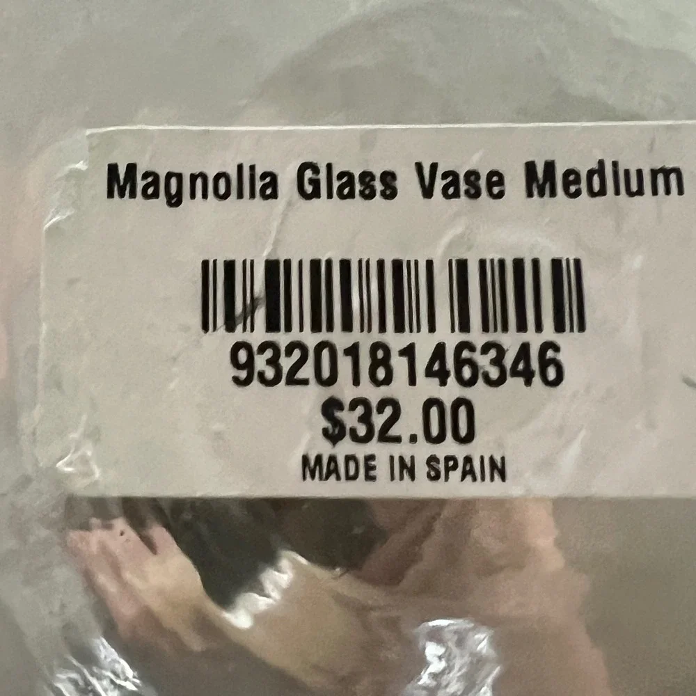Magnolia Glass Vase Medium Leather Collar Clear Green Tint Made in Spain 9.5in
